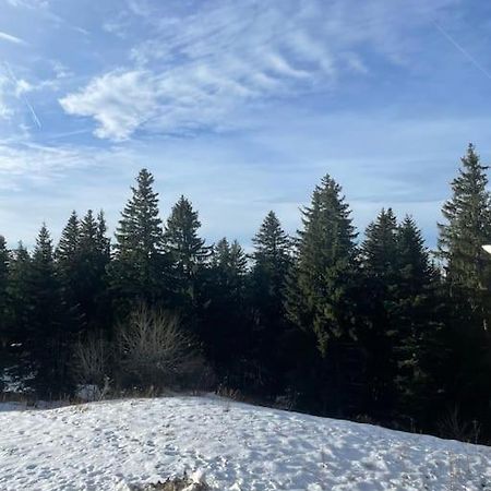 Chamrousse A 50M Des Pistes Appart 4/6 Exterior foto
