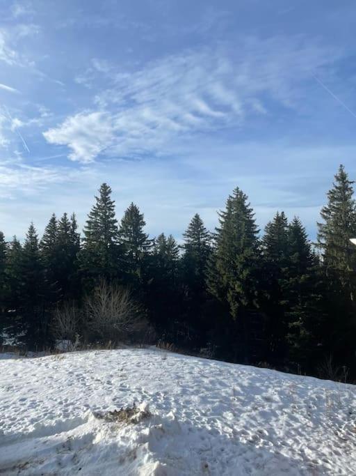 Chamrousse A 50M Des Pistes Appart 4/6 Exterior foto